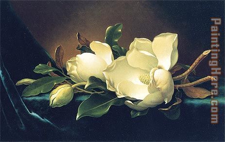 Two Magnolias and a Bud on Teal Velvet painting - Martin Johnson Heade Two Magnolias and a Bud on Teal Velvet art painting